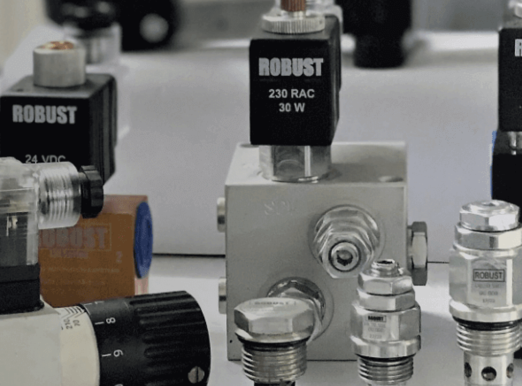 https://www.mechanorobust.com/Hydraulic Valve